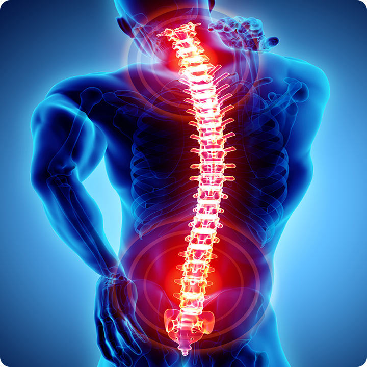 Back Pain and Neck Pain