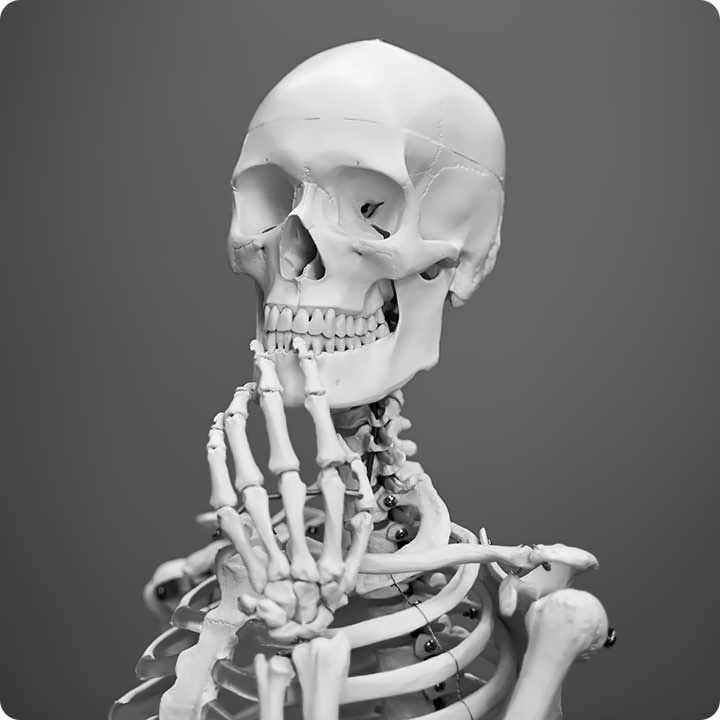 Beneftis of Myofascial Release a thinking skeleton