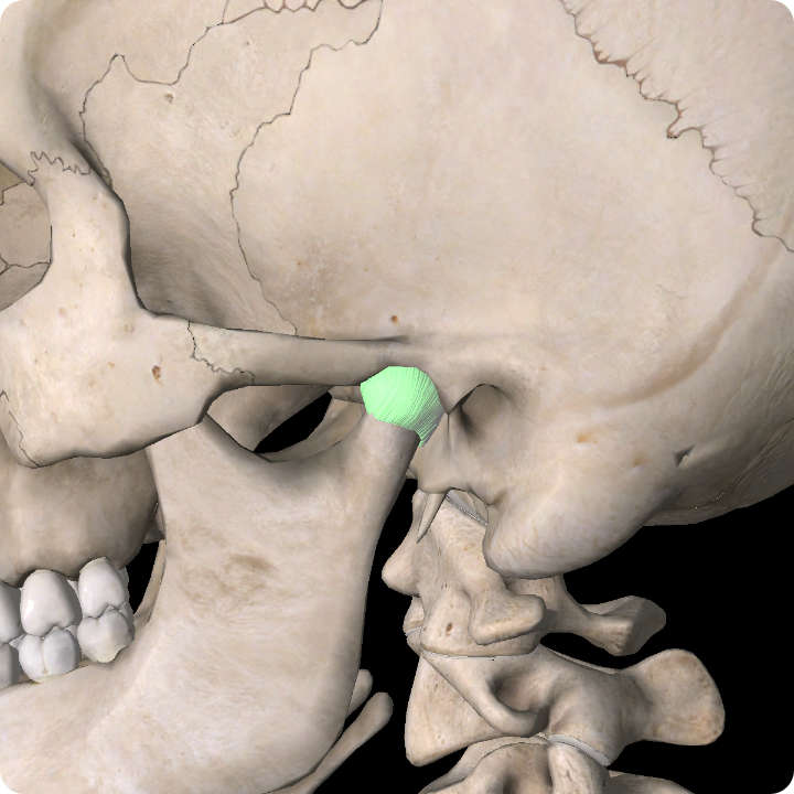 Temporomandibular Joint (TMJ) Pain Treatment.