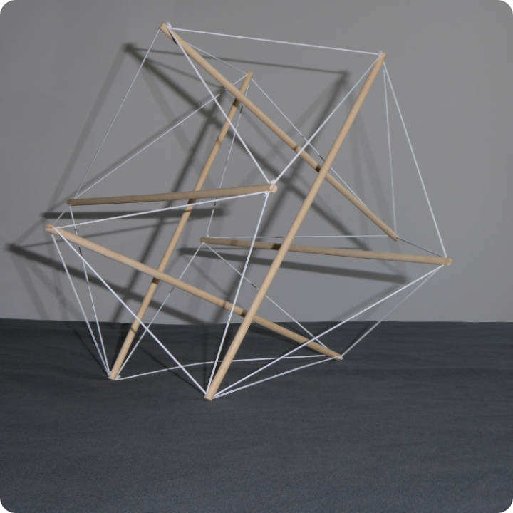 Biotensegrity and its relevance - An MSK Therapy perspective
