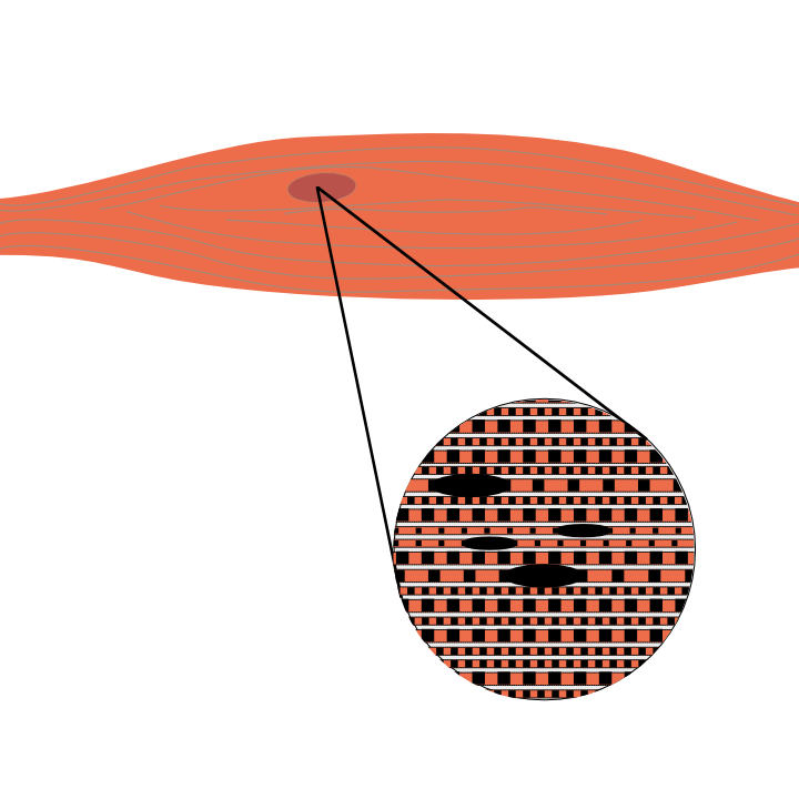 Person recieving MSK therapy treatment.
